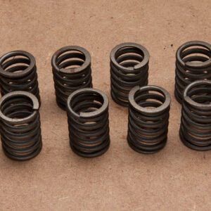 Valve Springs (set of 8)