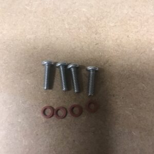 Front Sidelight Lenses to body Screw and Washer (4 pack)